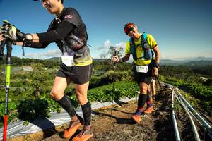 BIB: 5003, 1106
                            <button type="button" onclick="openModal(19122671)" class="btn btn-primary btn-sm float-right btn-popup" data-toggle="modal" data-target=".modal-high-quality">
                        <i class="fas fa-shopping-cart"></i> Add to Cart
                    </button>
                                            <button type="button" onclick="isThisMe(19122671, true)" class="btn btn-success btn-sm float-right btn-popup btn-isme hidden" data-toggle="tooltip" data-placement="bottom" title="นี่คือรูปของคุณใช่ไหม คลิกที่นี่เพื่อเอาเข้าอัลบั้ม">
                        <i class="fas fa-plus"></i> Add to album
                    </button>
                    <button type="button" onclick="isThisMe(19122671, false)" class="btn btn-warning btn-sm float-right btn-popup btn-isnotme hidden">
                        <i class="fas fa-ban"></i> Remove from album
                    </button>